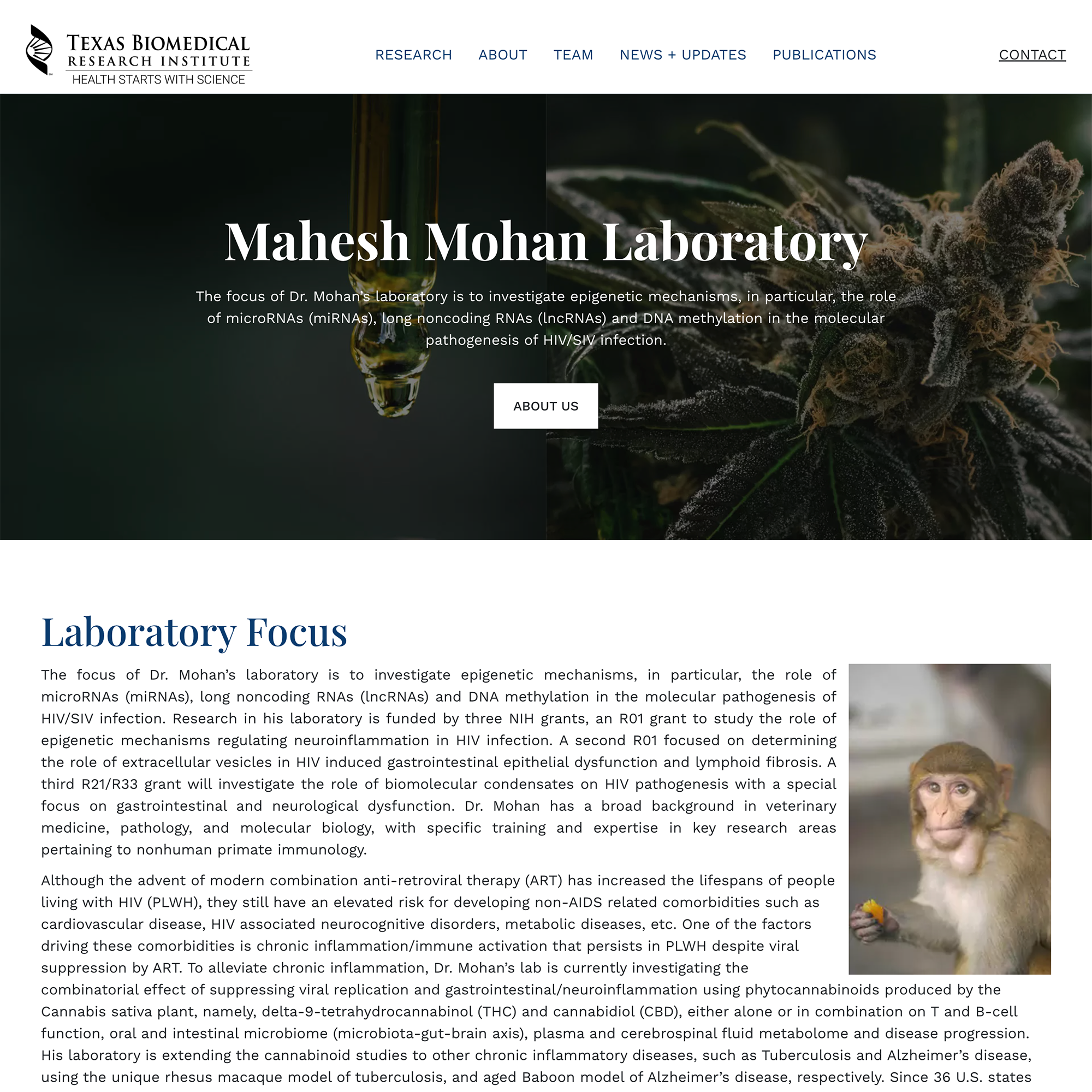 Mohan Laboratory